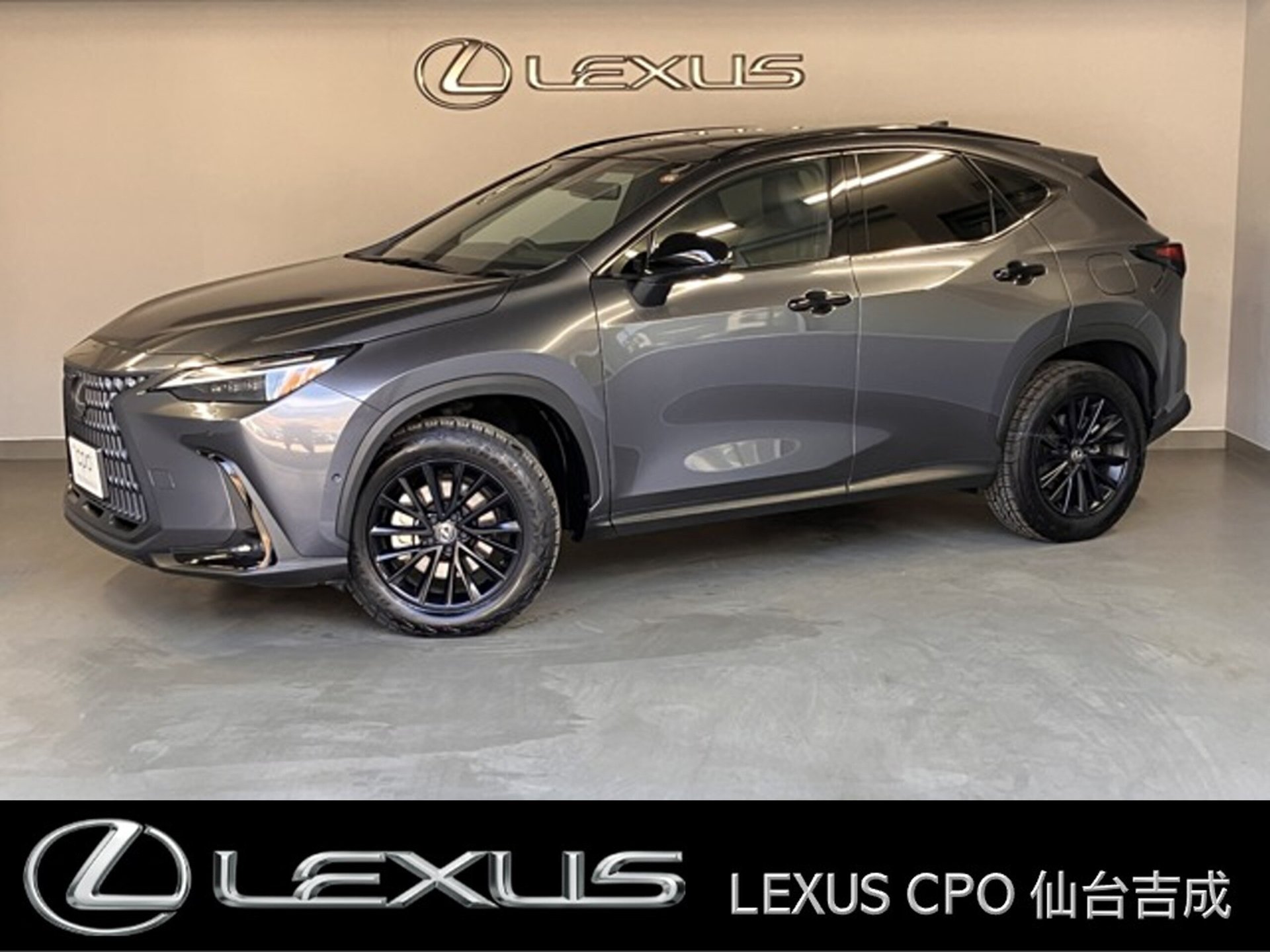 LEXUS NX - View 1