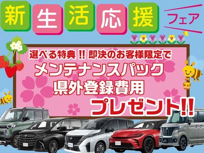 TOYOTA LAND CRUISER 70 - 2