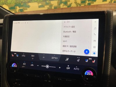 2024 TOYOTA ALPHARD 缩略图 65