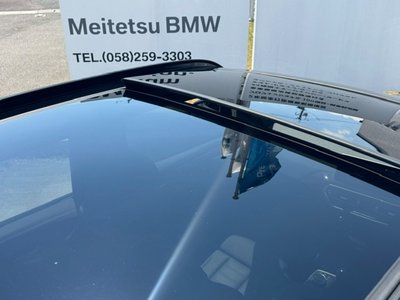 صورة مصغرة 42 لـ 2023 BMW X3