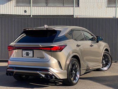 LEXUS RX - 7