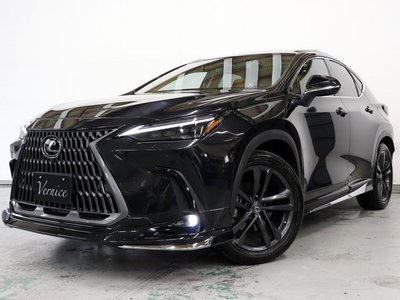 LEXUS NX - 3