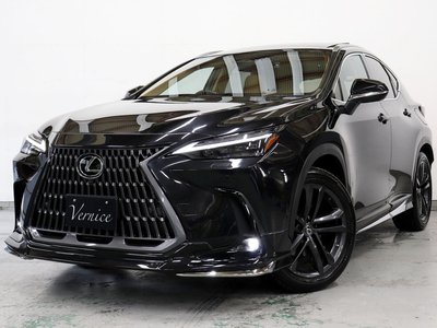 LEXUS NX - 1