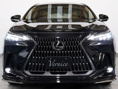 LEXUS NX - 6