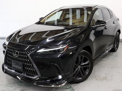 LEXUS NX - 2