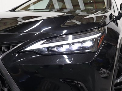 LEXUS NX - 10