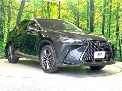 2023 Lexus NX — миниатюра 16