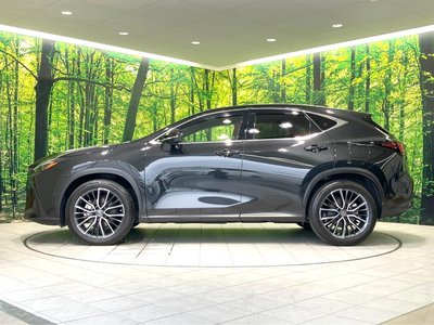 2023 Lexus NX — миниатюра 25
