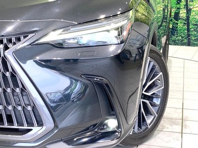 2023 Lexus NX — миниатюра 12