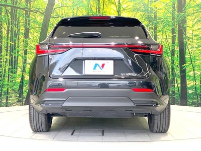 2023 Lexus NX — миниатюра 15