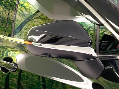 2023 Lexus NX — миниатюра 28