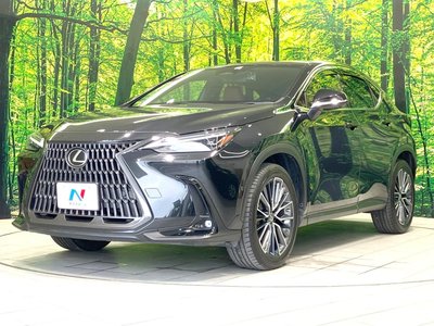 2023 Lexus NX — миниатюра 24
