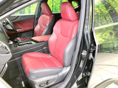 2023 Lexus NX — миниатюра 48