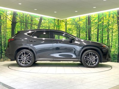 2023 Lexus NX — миниатюра 27