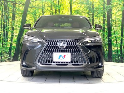 2023 Lexus NX — миниатюра 14
