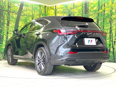 2023 Lexus NX — миниатюра 26
