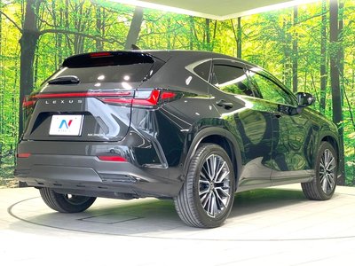 2023 Lexus NX — миниатюра 17