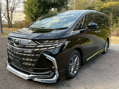 TOYOTA ALPHARD - 8