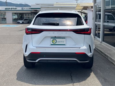 LEXUS NX - 6