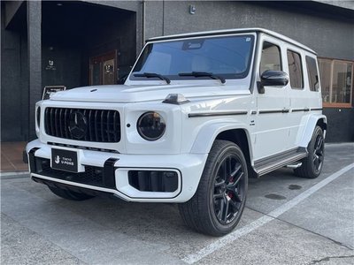 MERCEDES-BENZ G-CLASS - 1