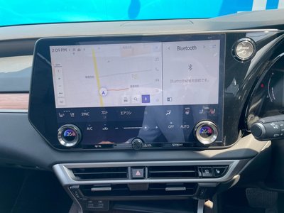 2023 Lexus RX photo 10