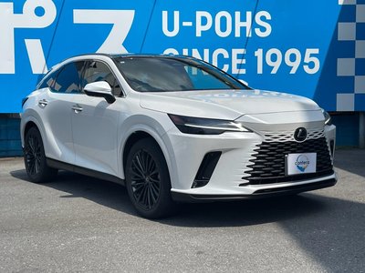 2023 Lexus RX photo 1