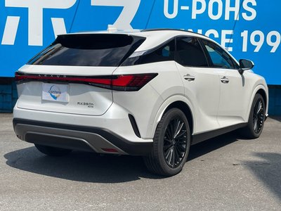 صورة مصغرة 19 لـ 2023 Lexus RX