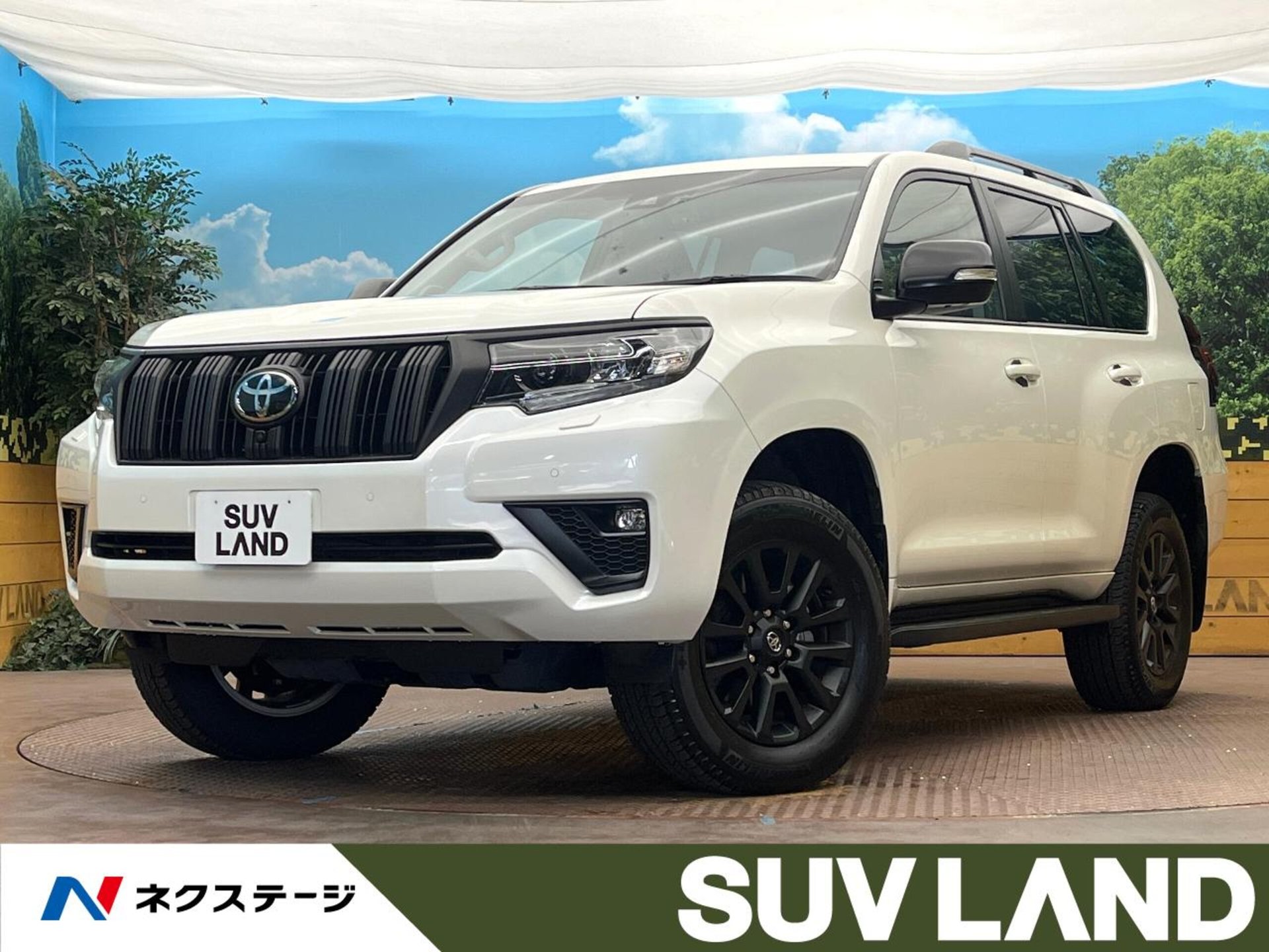 TOYOTA LAND CRUISER PRADO - View 1