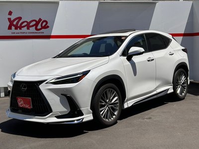 2023 Lexus NX 照片 1