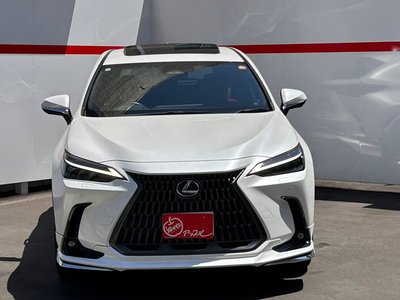 2023 Lexus NX 照片 3