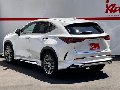 2023 Lexus NX 照片 7