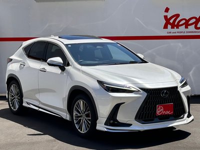 2023 Lexus NX 照片 4