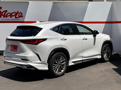 2023 Lexus NX 照片 5
