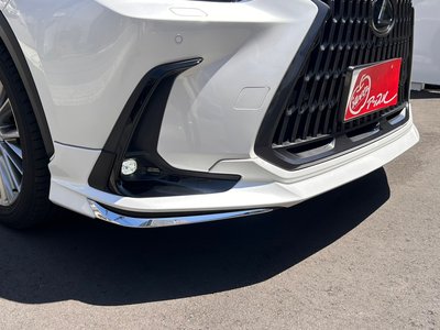 2023 Lexus NX 照片 10
