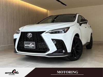 LEXUS NX - 1