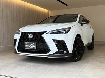 LEXUS NX - 1