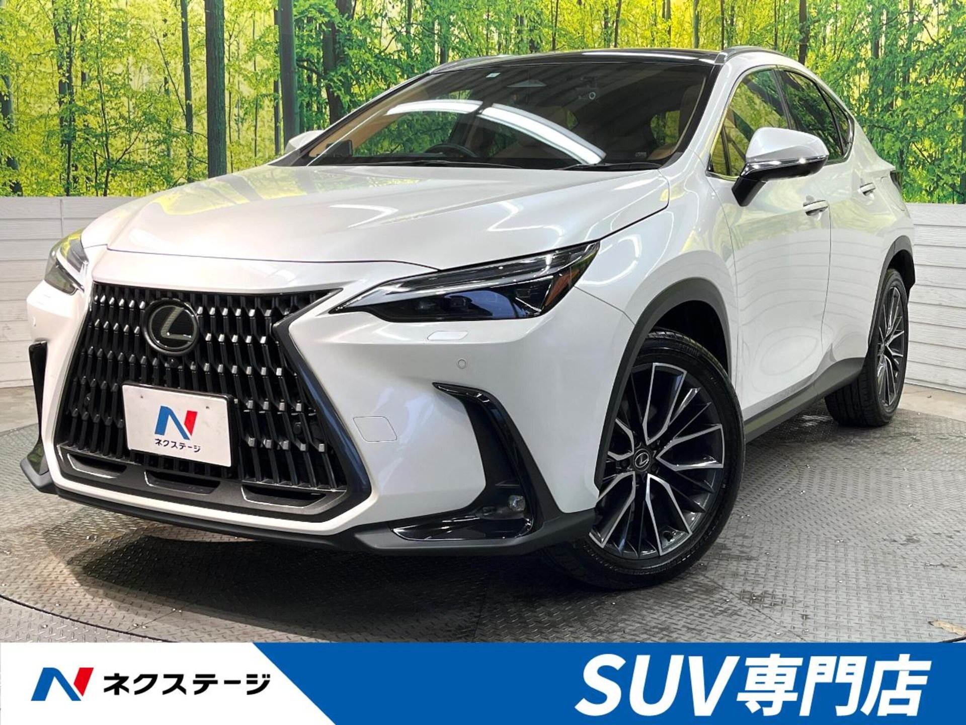 LEXUS NX - View 1