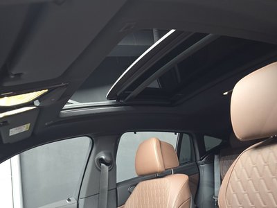 2025 BMW X6 thumbnail 28