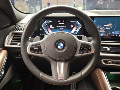 2025 BMW X6 thumbnail 19
