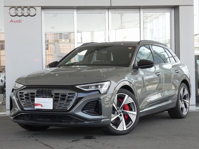 2025 AUDI Q8 E-TRON 照片 1