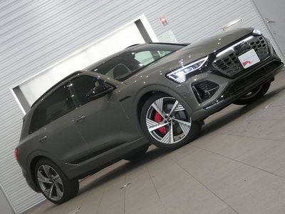 2025 AUDI Q8 E-TRON 缩略图 13