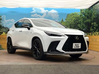 2023 Lexus NX — миниатюра 16