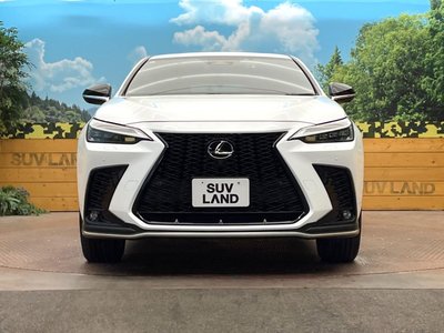 2023 Lexus NX — миниатюра 14