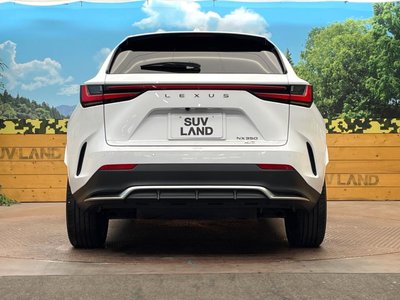 2023 Lexus NX — миниатюра 15