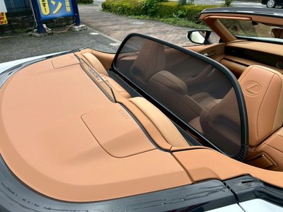 2021 LEXUS LC CONVERTIBLE 照片 10