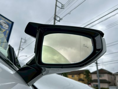 2021 LEXUS LC CONVERTIBLE 照片 9