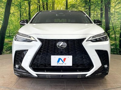 صورة مصغرة 14 لـ 2022 Lexus NX
