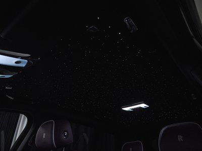 Thumbnail 46