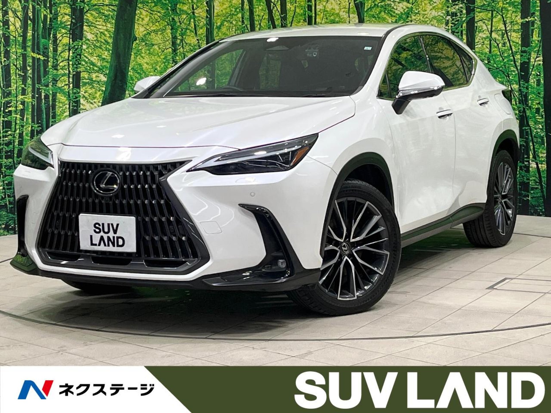 LEXUS NX - View 1