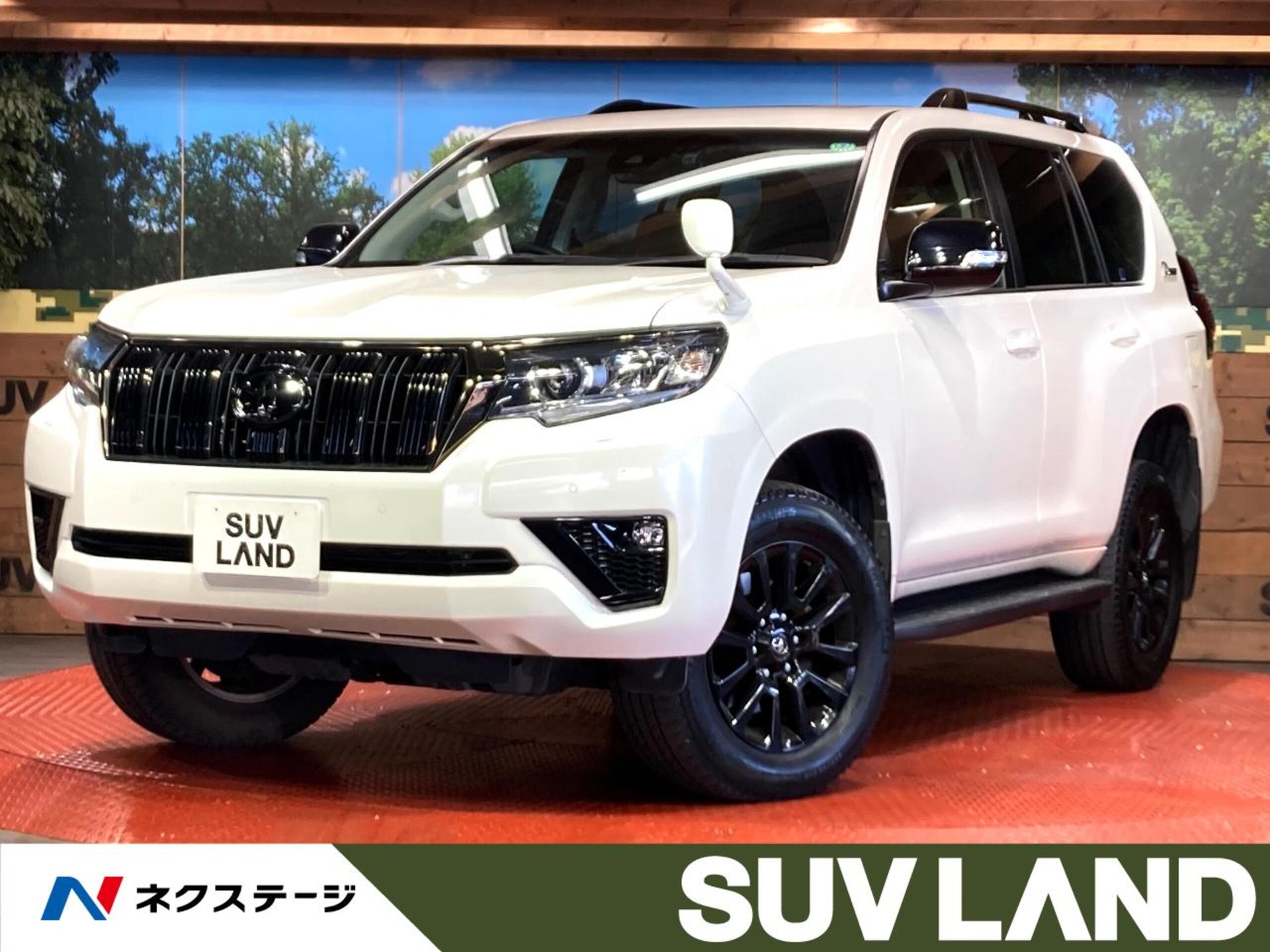 TOYOTA LAND CRUISER PRADO - View 1